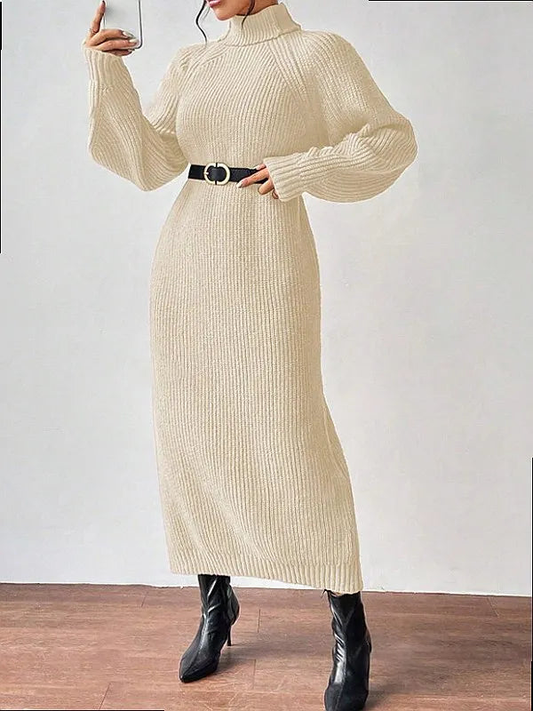 Marchetti Turtleneck Sweater Dress